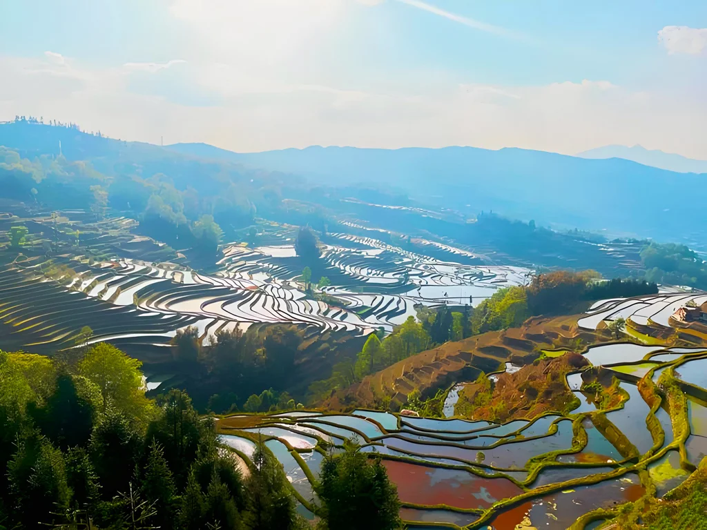 Honghe Yuanyang Hani Rice Terraces 雲南紅河元陽哈尼梯田的壯麗景色,層層梯田在陽光下反射,周圍環繞青山與綠意。