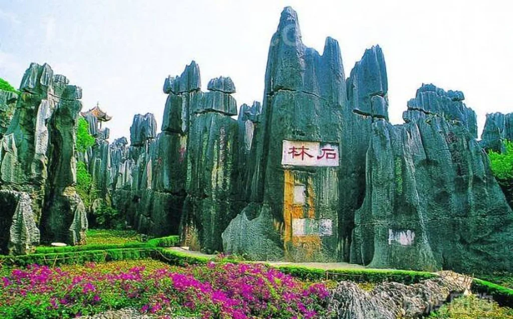 stone forest 2 stone forest 2